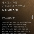 인셀덤잠실 이미지