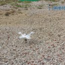 드론전문가 3종(필기, 실기) 이미지