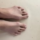 삼송명문한의원 네이버블로그