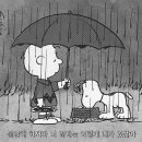 청소이야기 티스토리