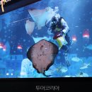 아쿠아리움 이미지