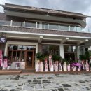 양산대로 이미지