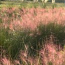 지내고탄로 이미지