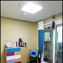 리코팰리스 이미지