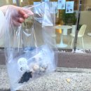 주부토로56번길 | 인천 부평 강아지 수제간식 추천 오브몽