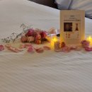 해밀톤수영장(실외) 이미지