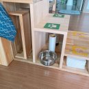 제주코기네 | 제주도 대형견 동반 가능 숙소 - 제주코기네 후기