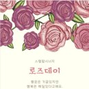 로즈데이 Daum카페