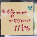 과천-과천-과천11호 등잔일보