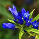 용담농장 이미지