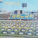 바로메라 | 8월 매주가 이벤트라니 내향형인간 가혹행위에요 이거
