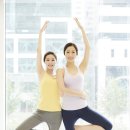 자세교정 스트레칭 이미지