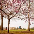 Sweet stay at Joy's 이미지