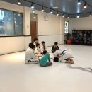 영덕주짓수