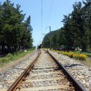 등명해변(철길옆) 이미지