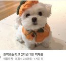 준오식당 이미지