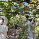 학산면사무소 이미지