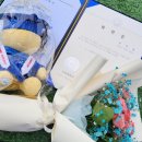 (주)행복둥지를만드는사람들 | [월간 Blog. 2026년 2월] 회계법인 연말정산 4-5주차, 척척학사🎓, 설날, 본가방문