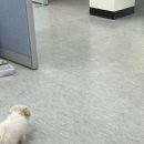 상아공업사 이미지