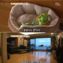 똘똘이농장 티스토리