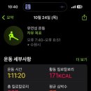 모모폴스튜디오 이미지