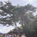 사물놀이 | 사물놀이 공연 섭외 후기 _ 운림제 전통혼례