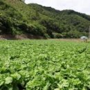 주식회사 그린산업개발 이미지