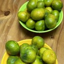 제주밥보장터 이미지