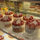 지에스25 수지서홍점 | [일상 블로그] Happy new year 2026 직장인의 밀린 일상