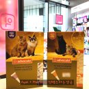 킨텍스아는약국 이미지