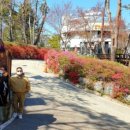 장곡민박산장 이미지