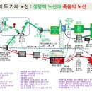 (주)노아건축 이미지