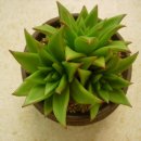 나의 창 이미지