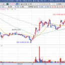 오케이인터내셔널 이미지