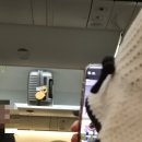 [발리]1일차(1): 발리 입국(스쿠트 경유), 더1O1발리 오아시스 사누르, Arta Sedana Sanur, 넬라얀 발리