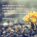 탑잉글리쉬학원 - 서초구 동산로 71 | 탑잉글리쉬학원