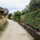 살구나무 한옥민박 이미지