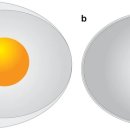 현대부화장 이미지