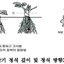 중대1통 (옥내1) | 9월 딸기 재배 관리 요령