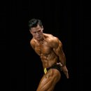 바디스타짐 이미지