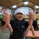 돼지보러오면돼지 이미지