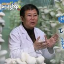 대왕버섯 / 표고버섯 / 쑥 / 미나리 / 귀뚜라미 / 고소애 / 이미지