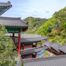 단양 구인사 가는 길 사찰 풍경과 카페 운 방문 후기