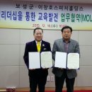 보성홀딩스 이미지