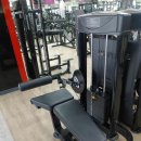 에이스스파랜드 이미지