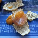 까미농장 | 감귤류는 까미농장!