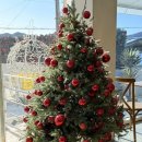 달구벌대로92길 | 대구 다사 카페 추천 강정보 뷰가 너무 이쁜 바토플루이르 다사강정보 후기