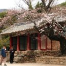 옥산2리 이미지