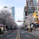 착한파스타 이미지