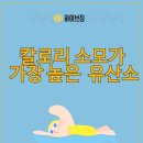 하이브짐(Hive Gym) 이미지